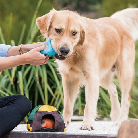 P.L.A.Y.  Camp Corbin Collection -Trailblazing Tent