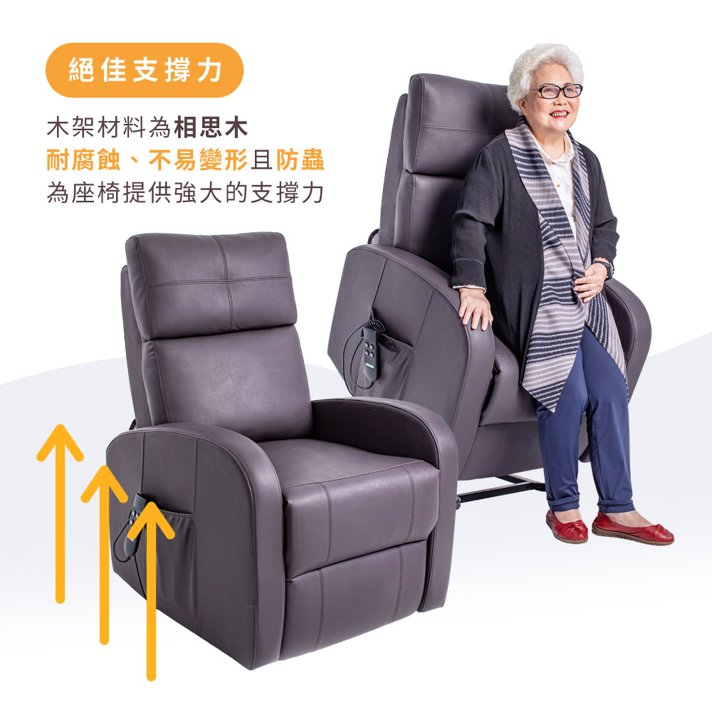 【Eurocare】雙馬達電動起身椅 棕色 (消光霧面)