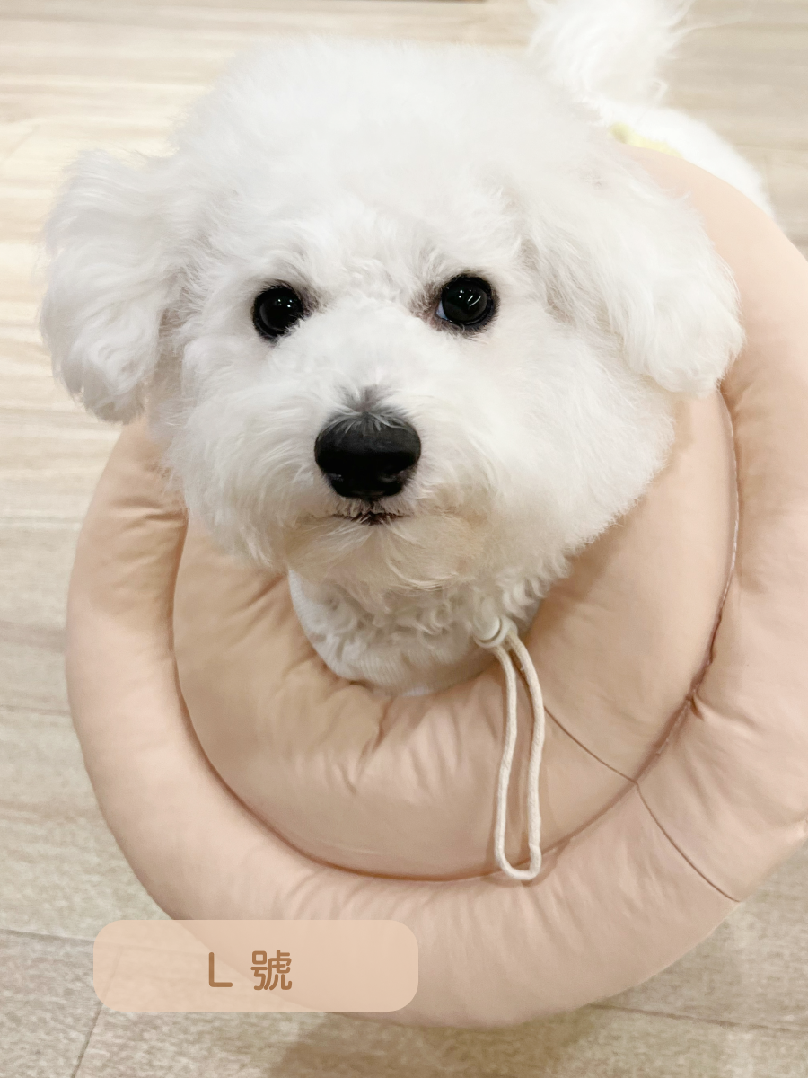 伊莉莎白寵物頭套 S - XXL｜防舔圈 微防水