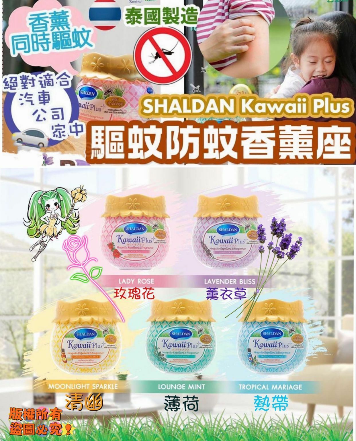 泰國Shaldan驅蚊香薰Gel