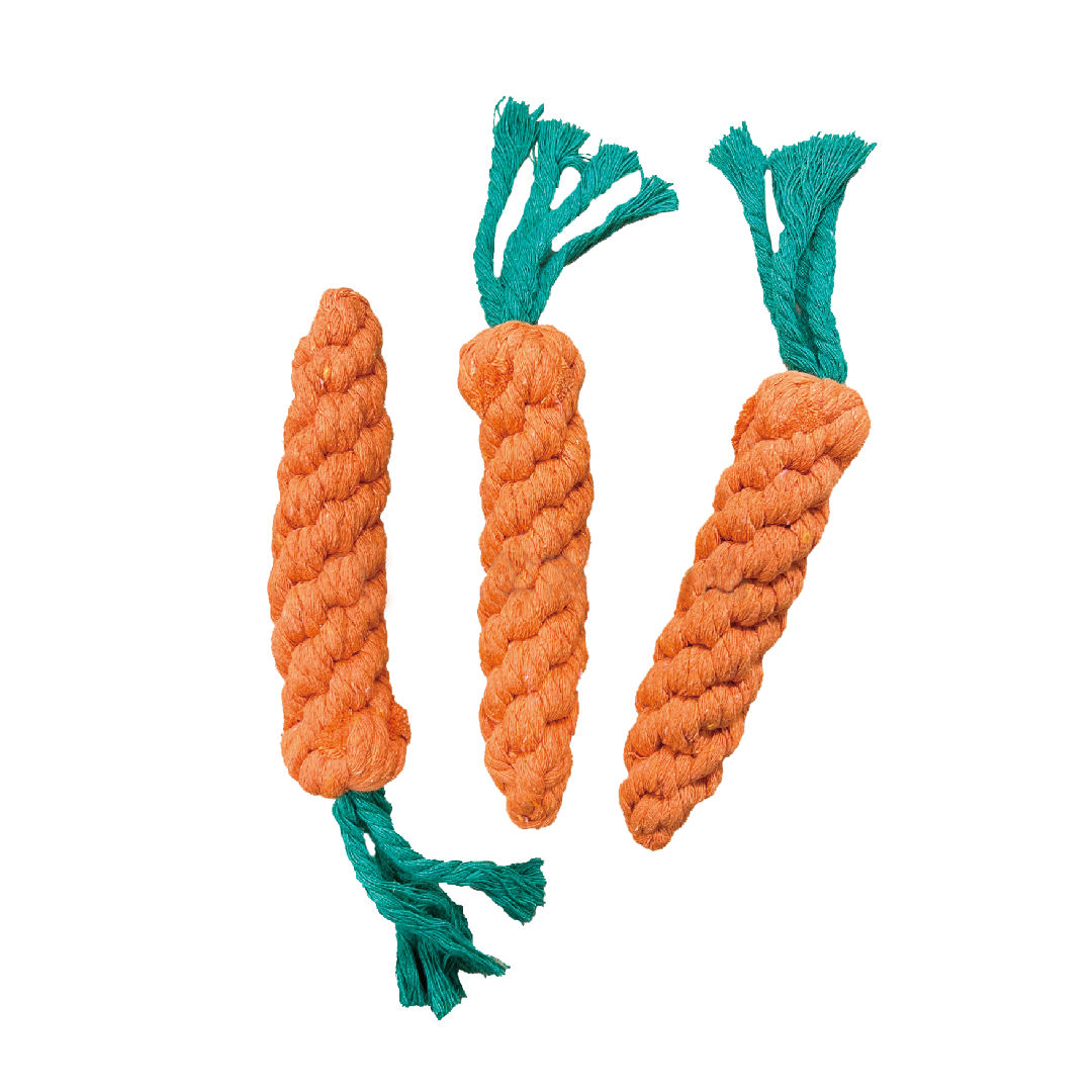 寵物棉繩玩具 胡蘿蔔造型