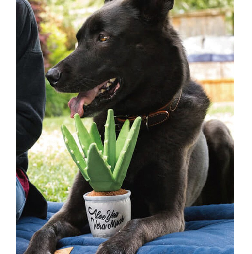 P.L.A.Y. Blooming Buddies Collection - aloe-ve you plant