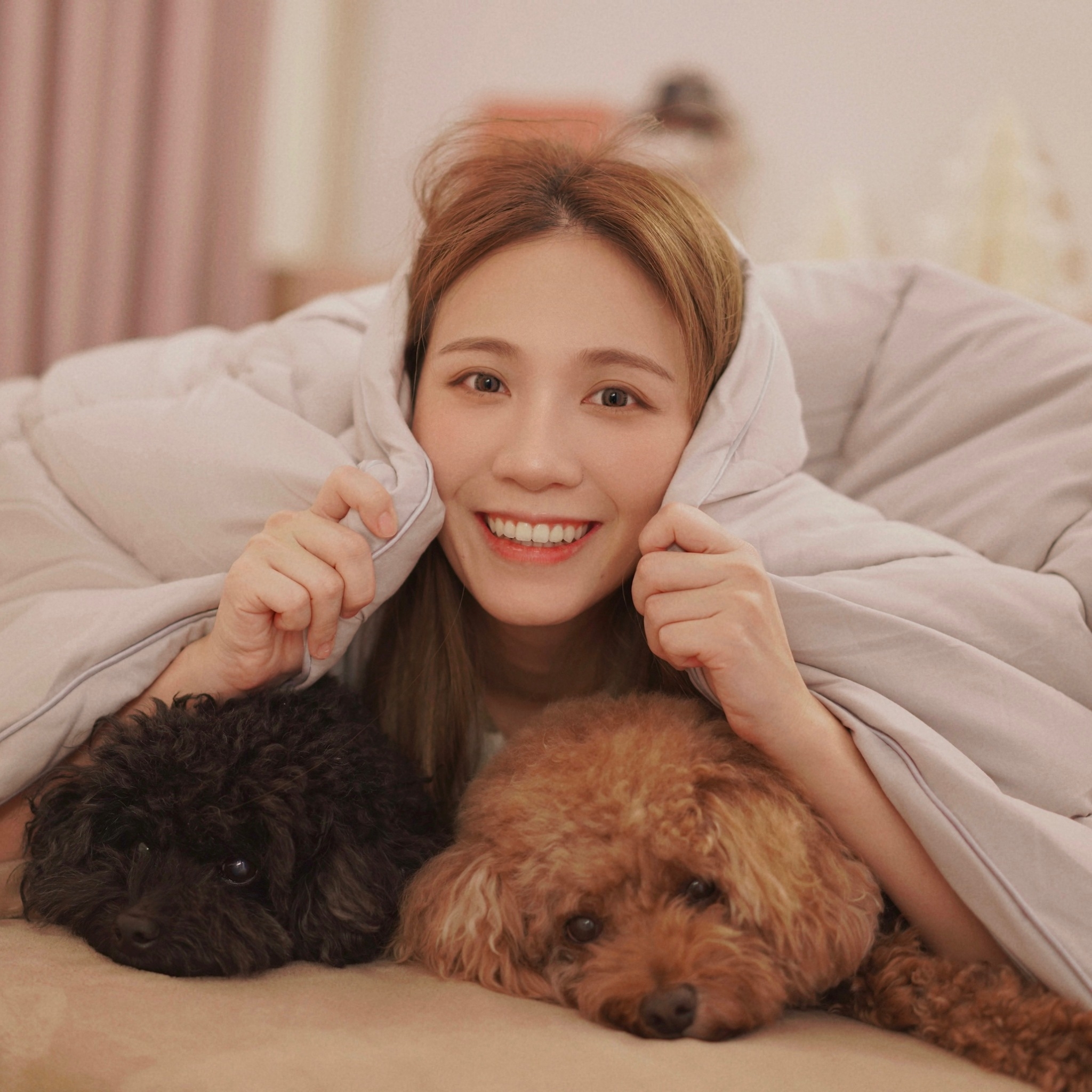 石墨稀被,石墨稀被推薦,棉被推薦