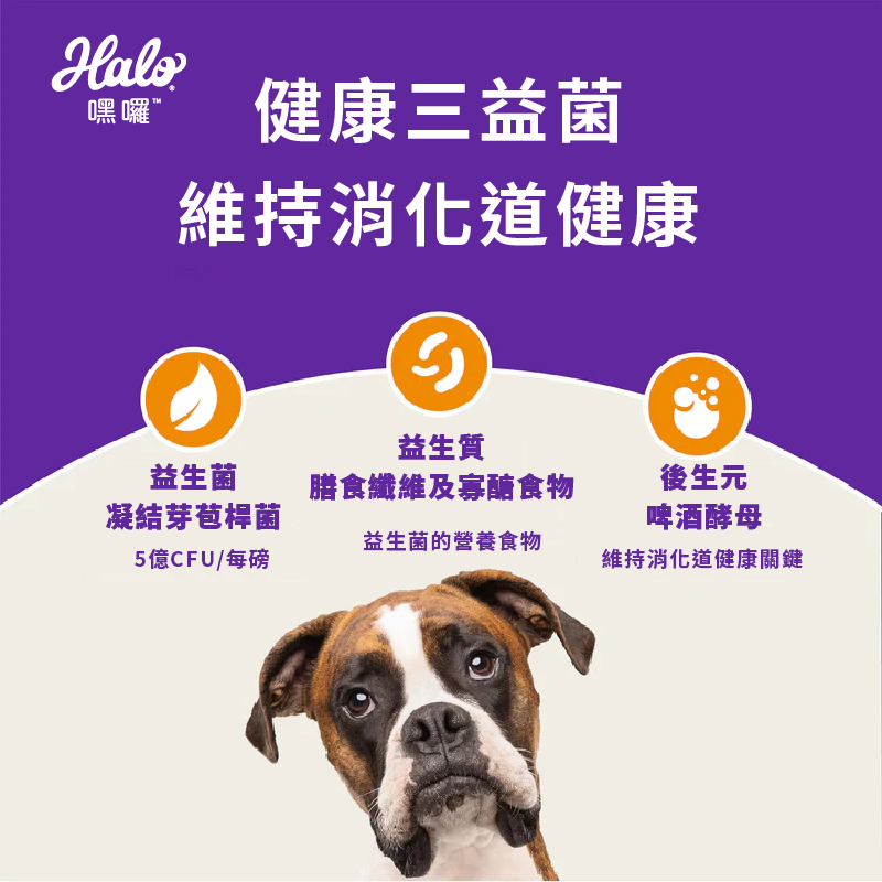 嚐鮮包新上市| Halo 嘿囉 熟齡犬無穀雞肉 350克