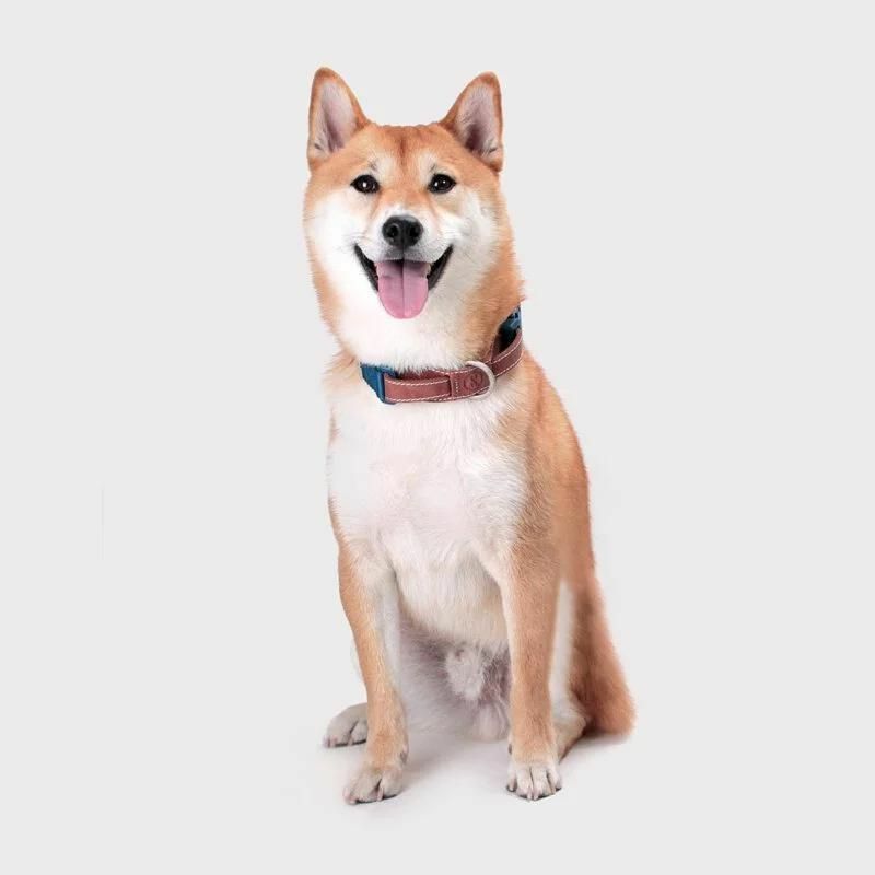 SPUTNIK - EXPLORE｜寵物胸項圈 Collar 藍 (S/M)