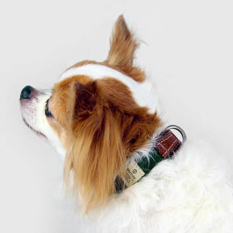 SPUTNIK - EXPLORE｜寵物胸項圈 Collar 綠 (S/M)