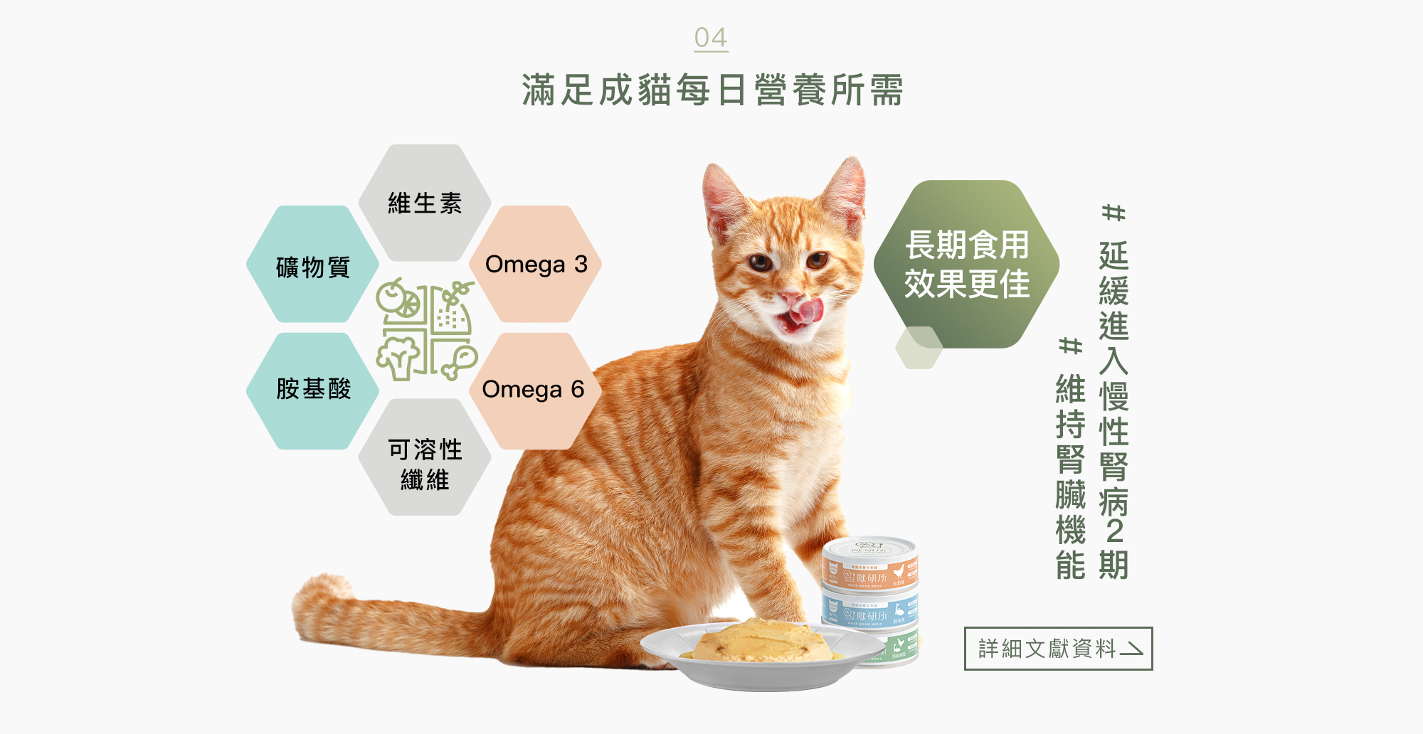 獸研所 貓咪腎臟保養主食罐