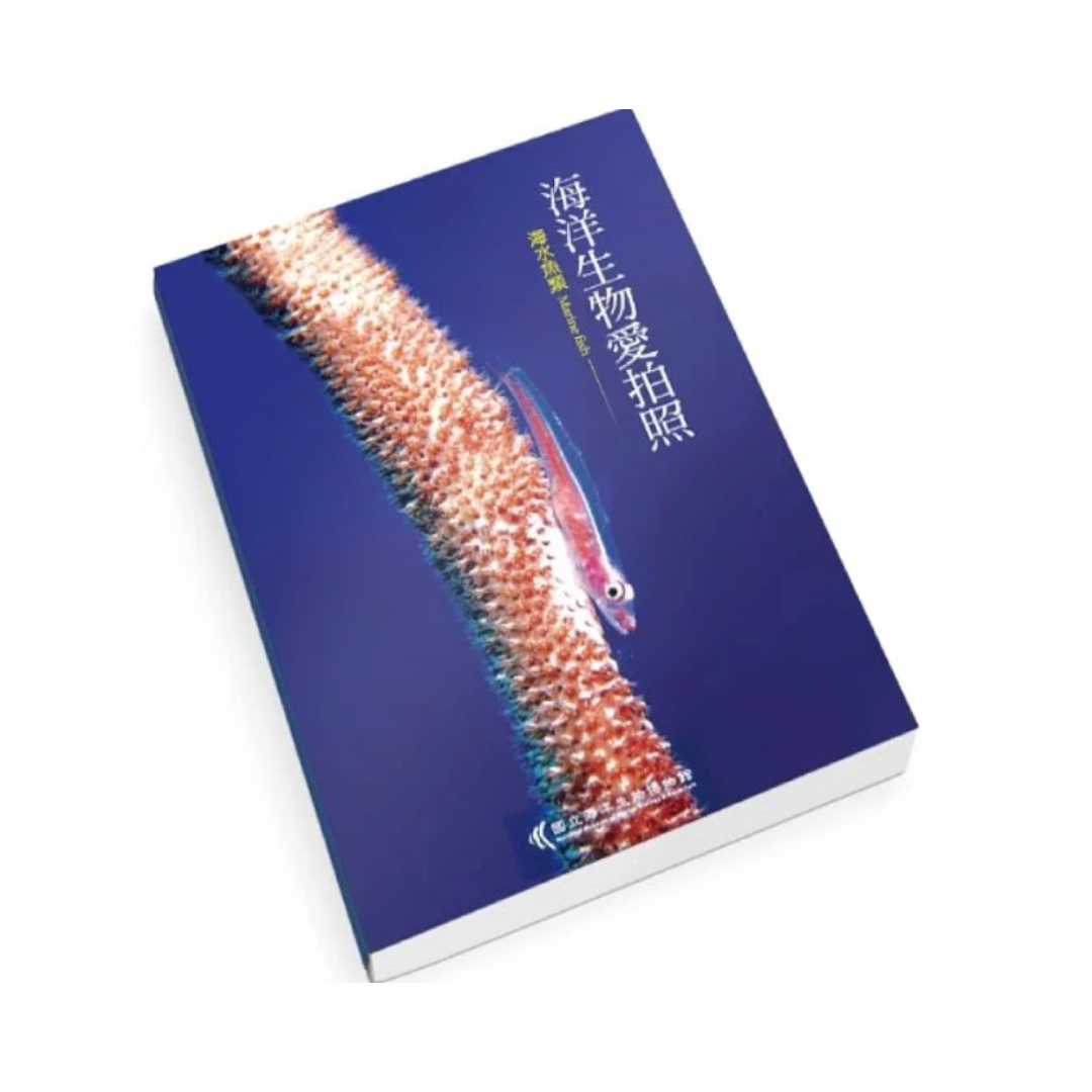 ※[書籍] 海洋生物愛拍照-海水魚類