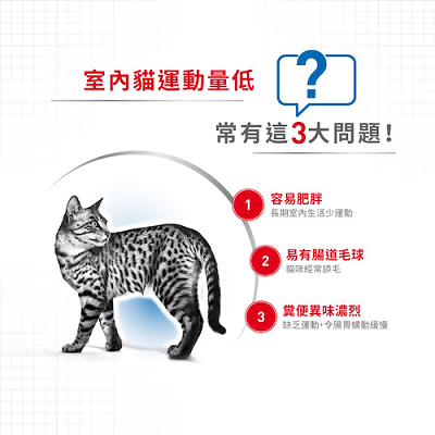 Royal Canin 室內貓 IN27 - 2kg / 4kg / 10kg