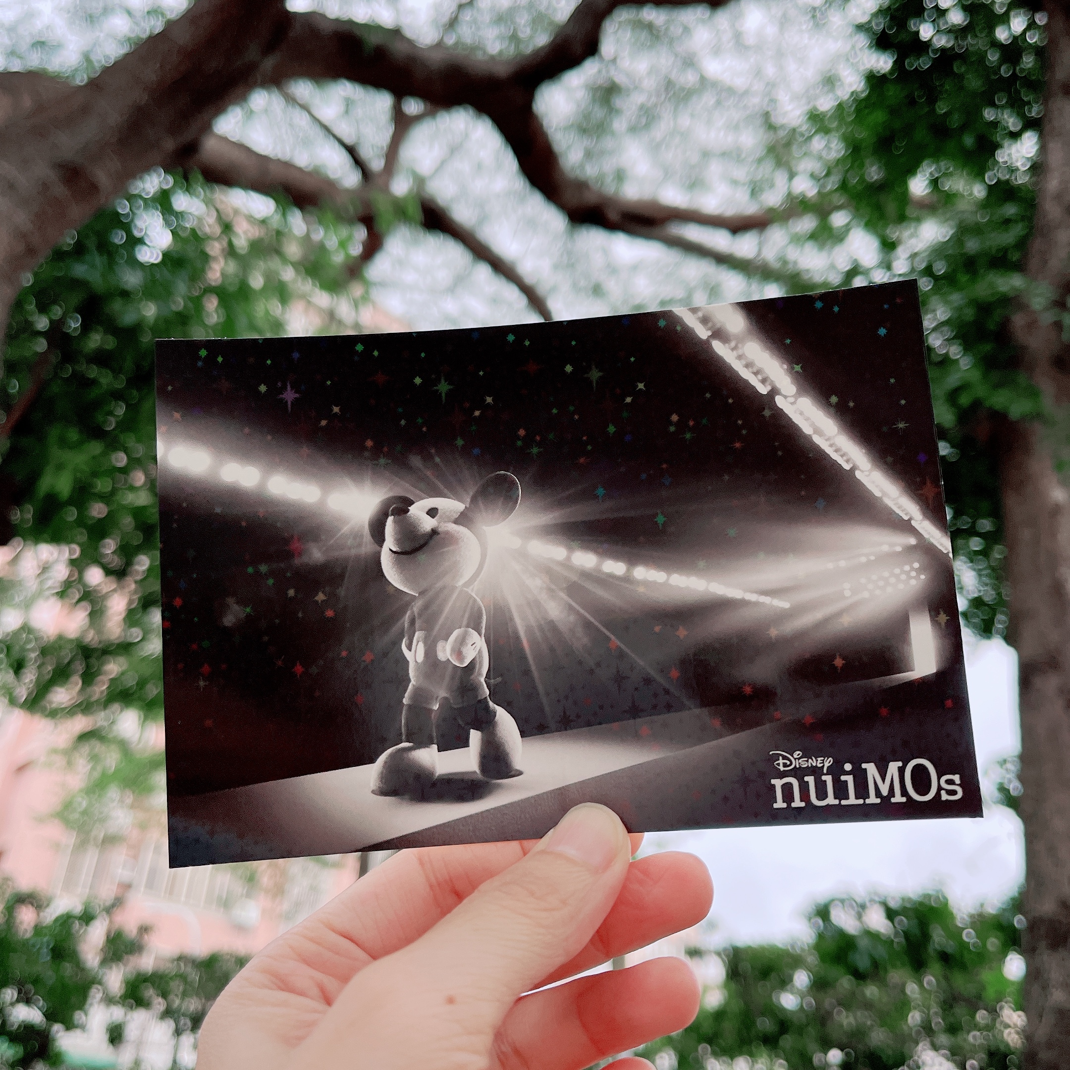 日本 東京 迪士尼 樂園 明信片｜Disney postcard