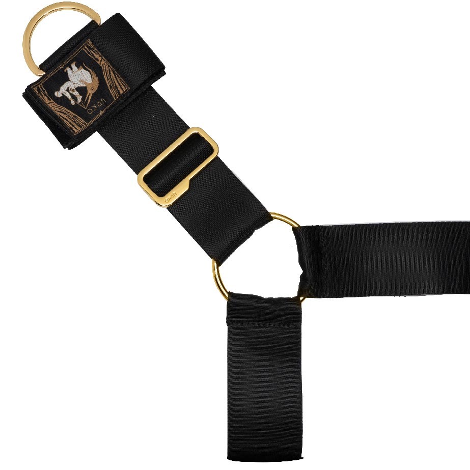 義大利 UPKO 床上綁帶