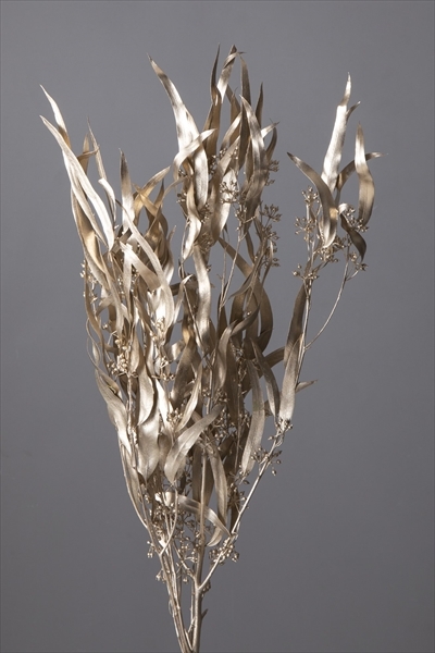 日本不凋柳葉 40175-932