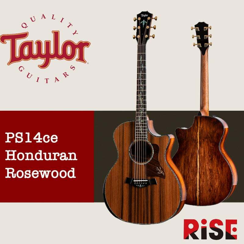 Taylor PS14ce Honduran Rosewood 沈水紅木面板 全單板 木吉他