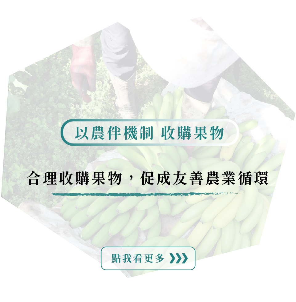 以農伴機制 收購果物:合理收購果物，促成友善農業循環