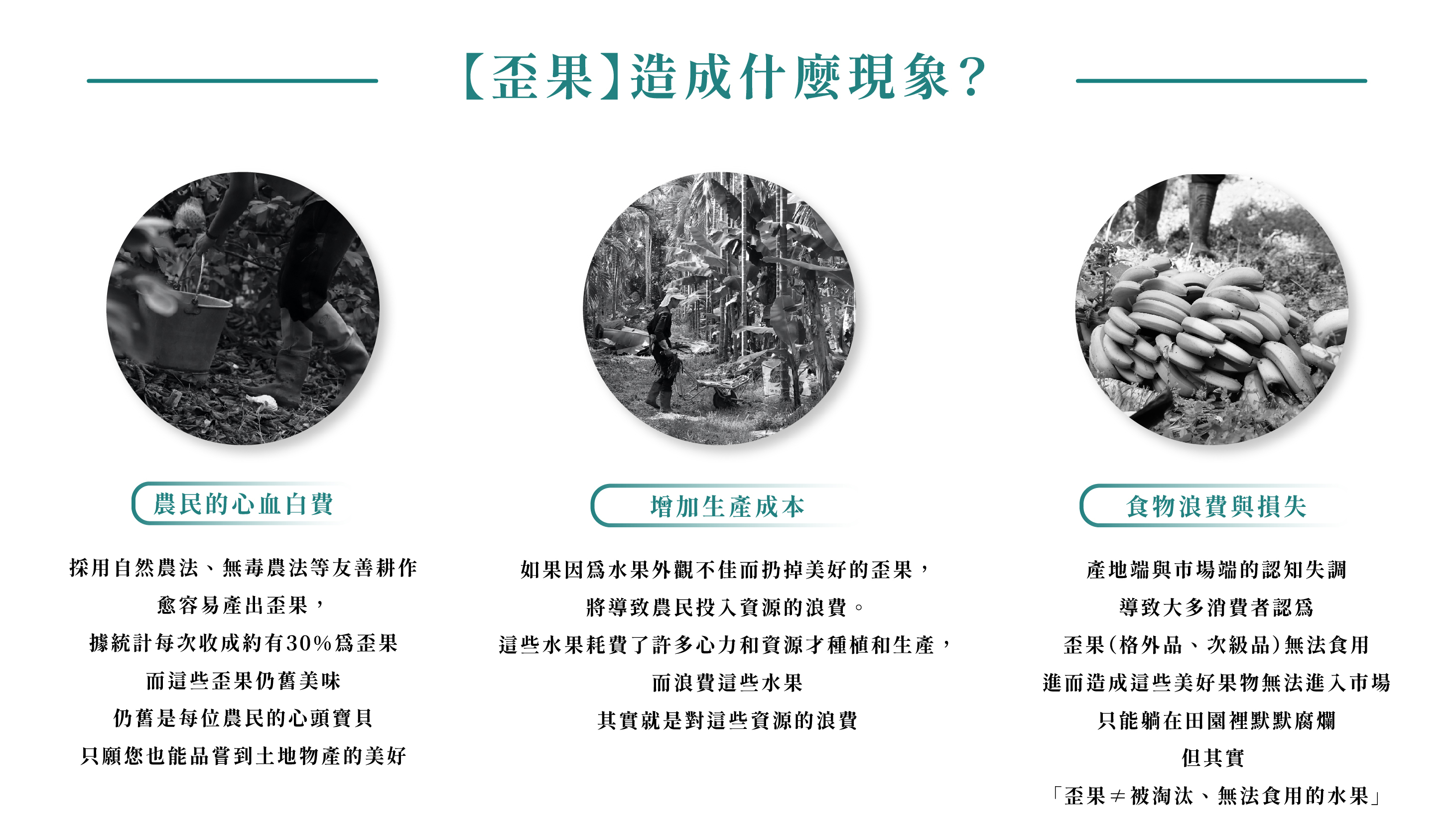【歪果】造成什麼現象？農民的心血白費、增加生產成本、食物浪費與損失