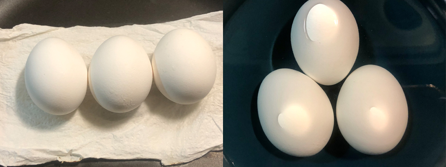 【櫛瓜南瓜鮮蝦沙拉】 Cucumber Squash Shrimp Salad