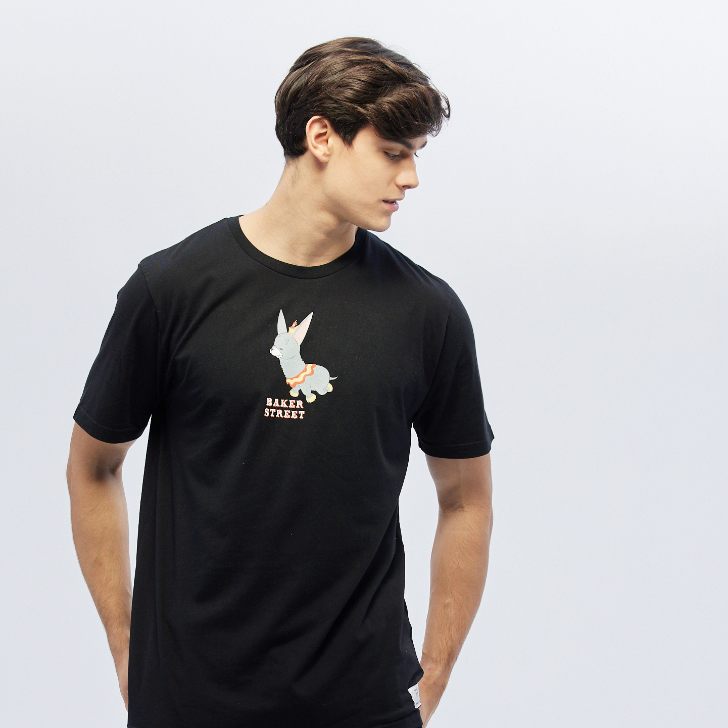 Dumbo Alpaca 小飛駝 短T