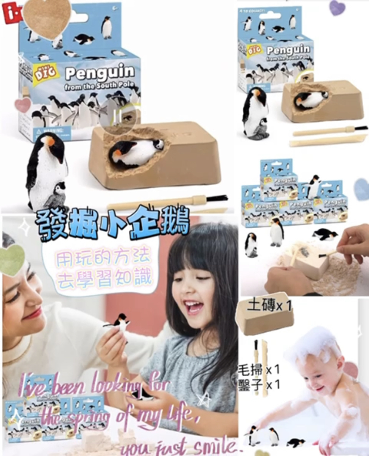 發掘小企鵝套裝