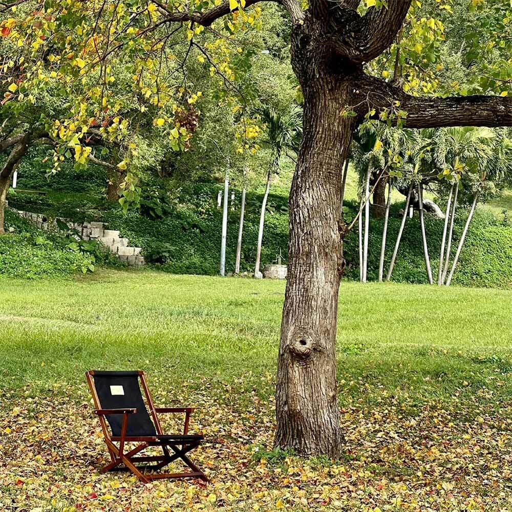 Natural Camper NAP23 CHAIR Teak-Black