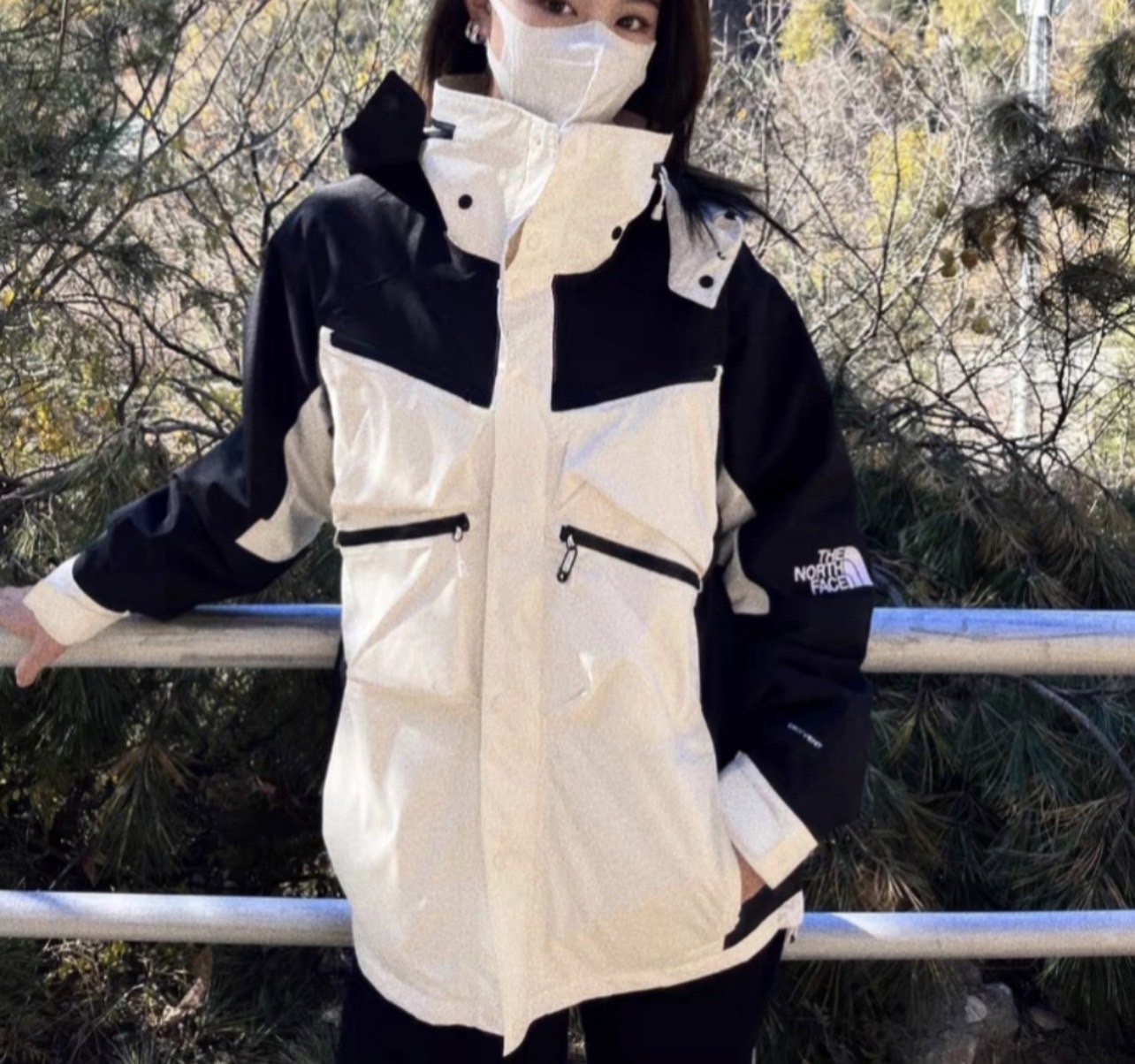 代購 The North Face UE先鋒設計系列 拼色LOGO印花連帽衝鋒衣 男款 白