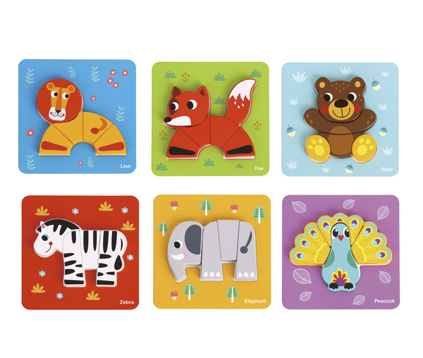 《 Tooky Toy 》 6合1認知動物篇遊戲組