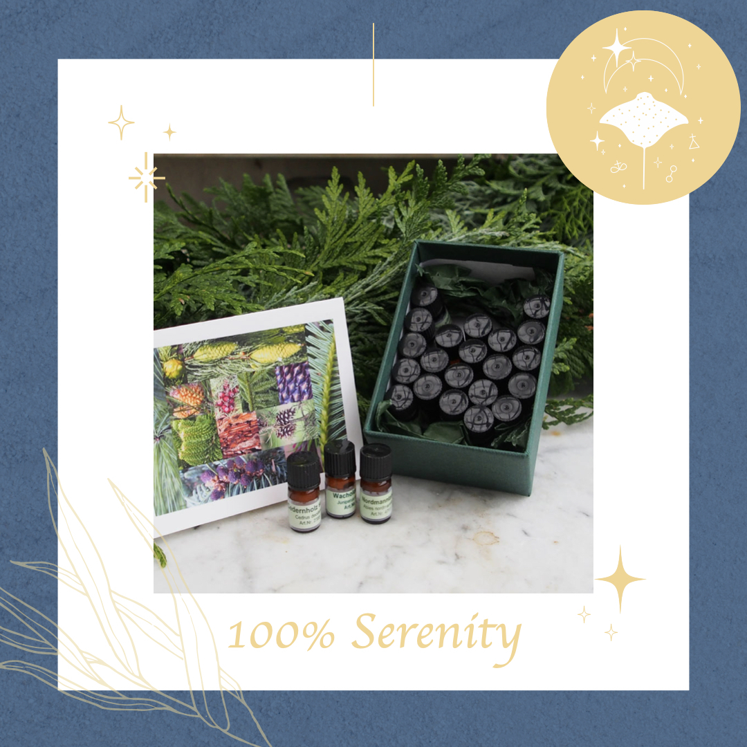 (最佳禮物) 香木 森林芬多精油組 24ml