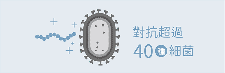 oh care 歐克威爾 - 抗菌潔膚濕紙巾-厚款-80入,24包