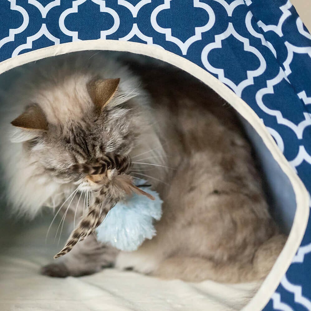 P.L.A.Y. 狂野貓咪系列 毛毛球