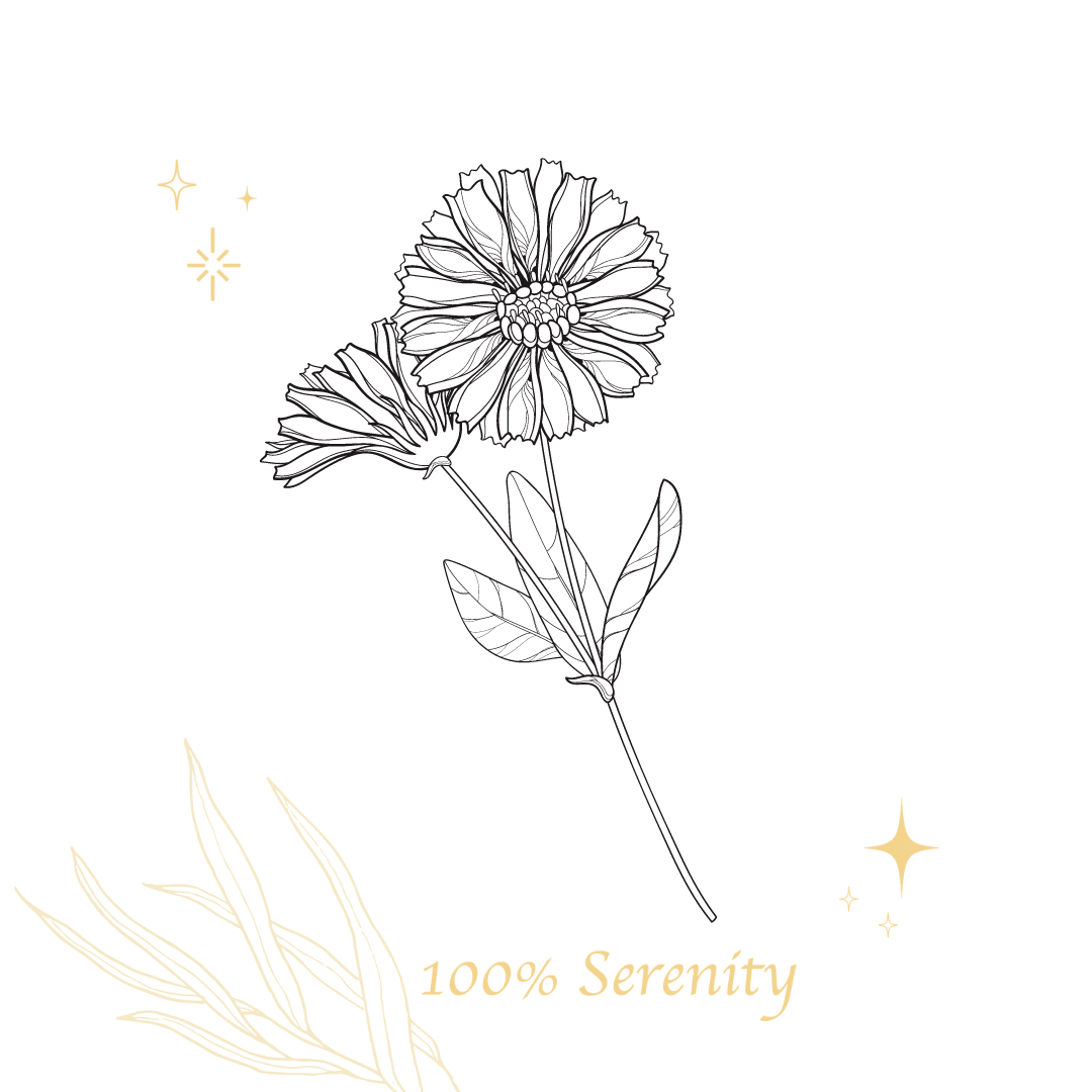 金盞花 | 純露 100ml