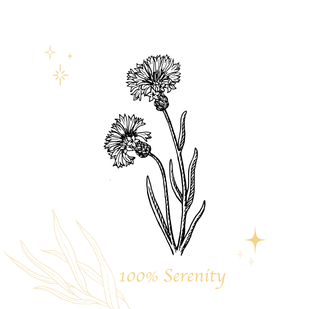 矢車菊 | 純露 100ml