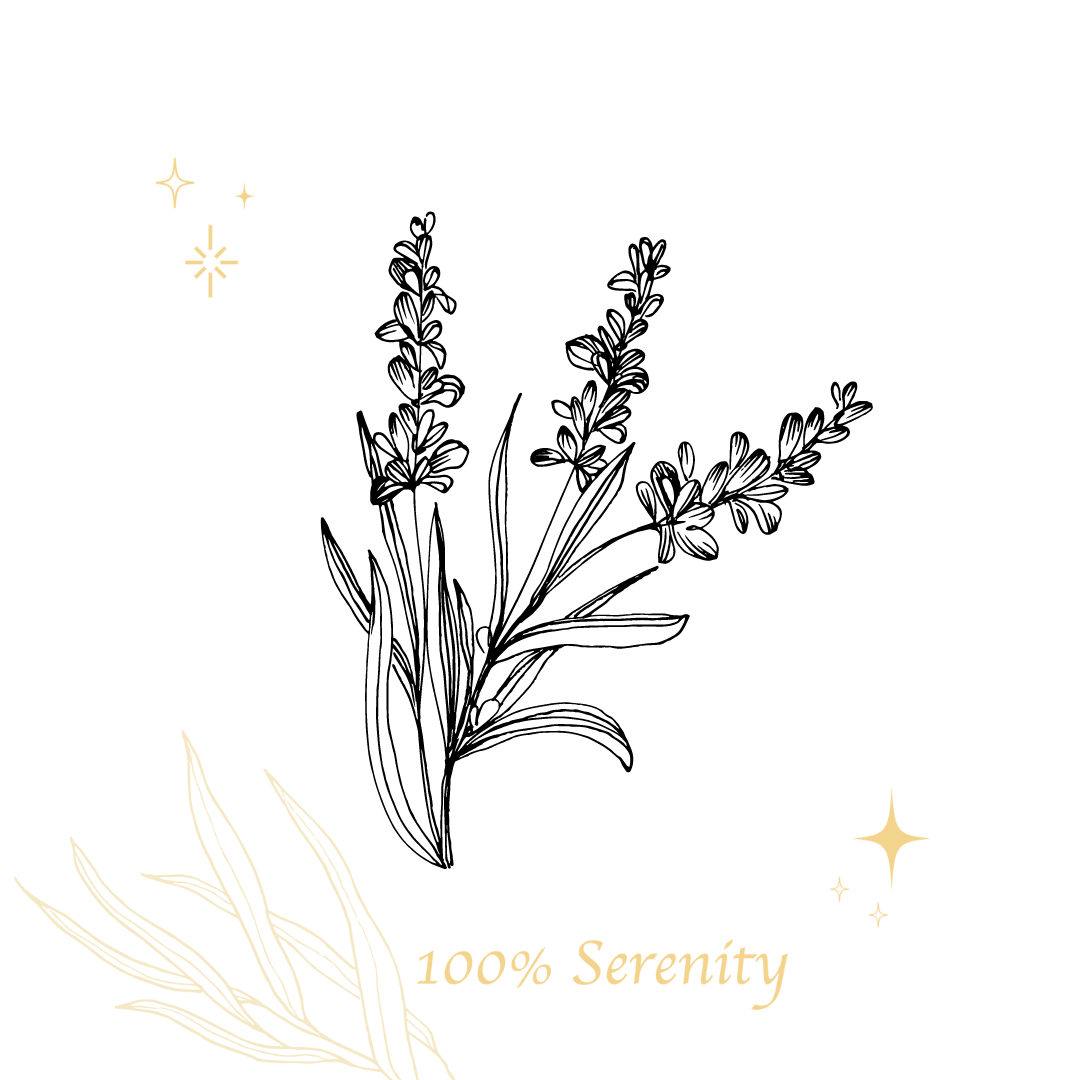 薰衣草 | 純露 100ml