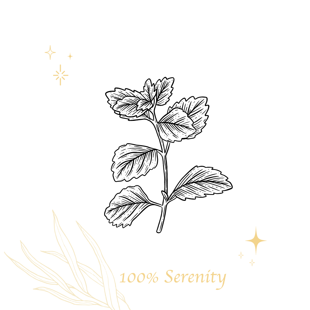 娜娜薄荷 | 純露 100ml