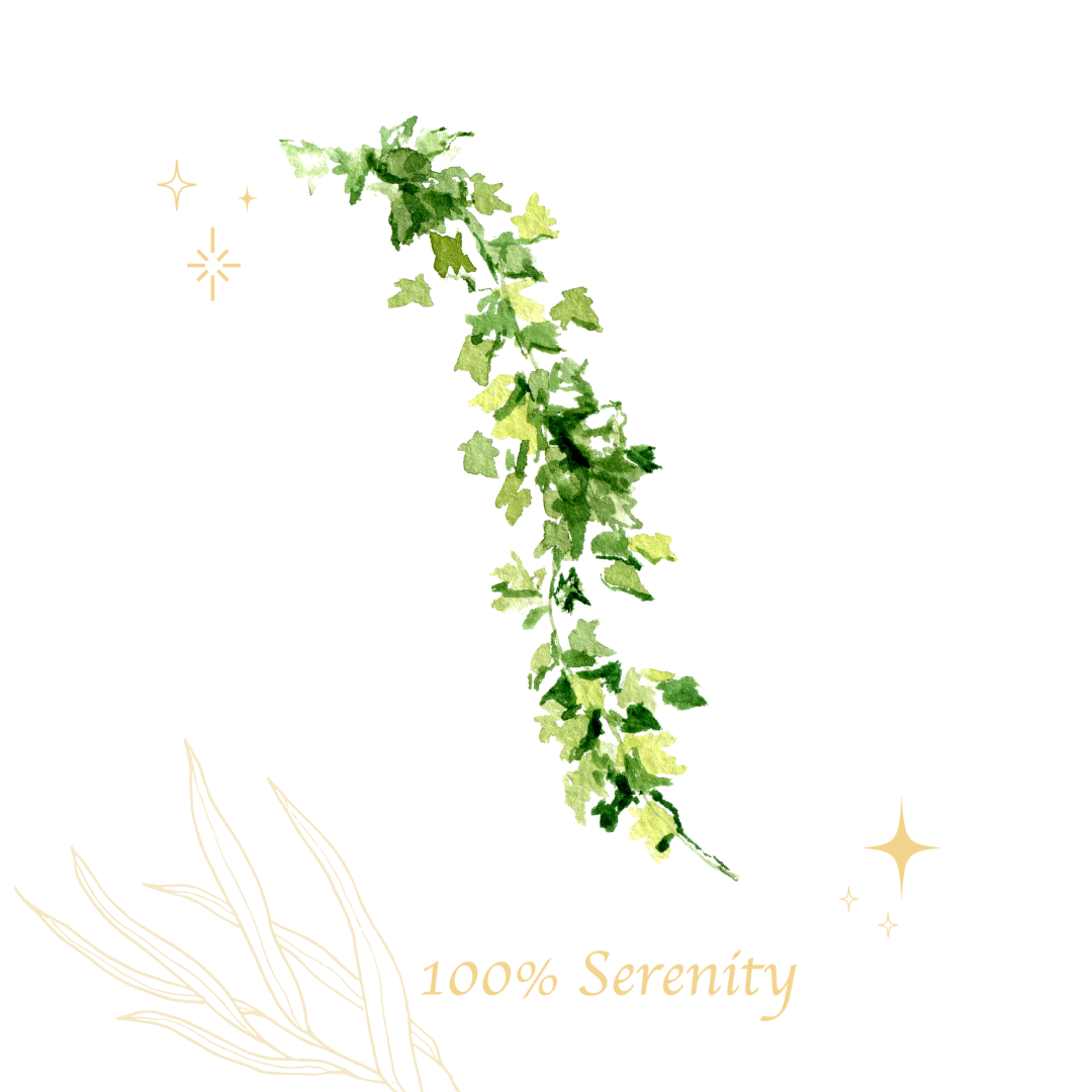 長春藤平衡收斂 | 洗髮乳 500ml