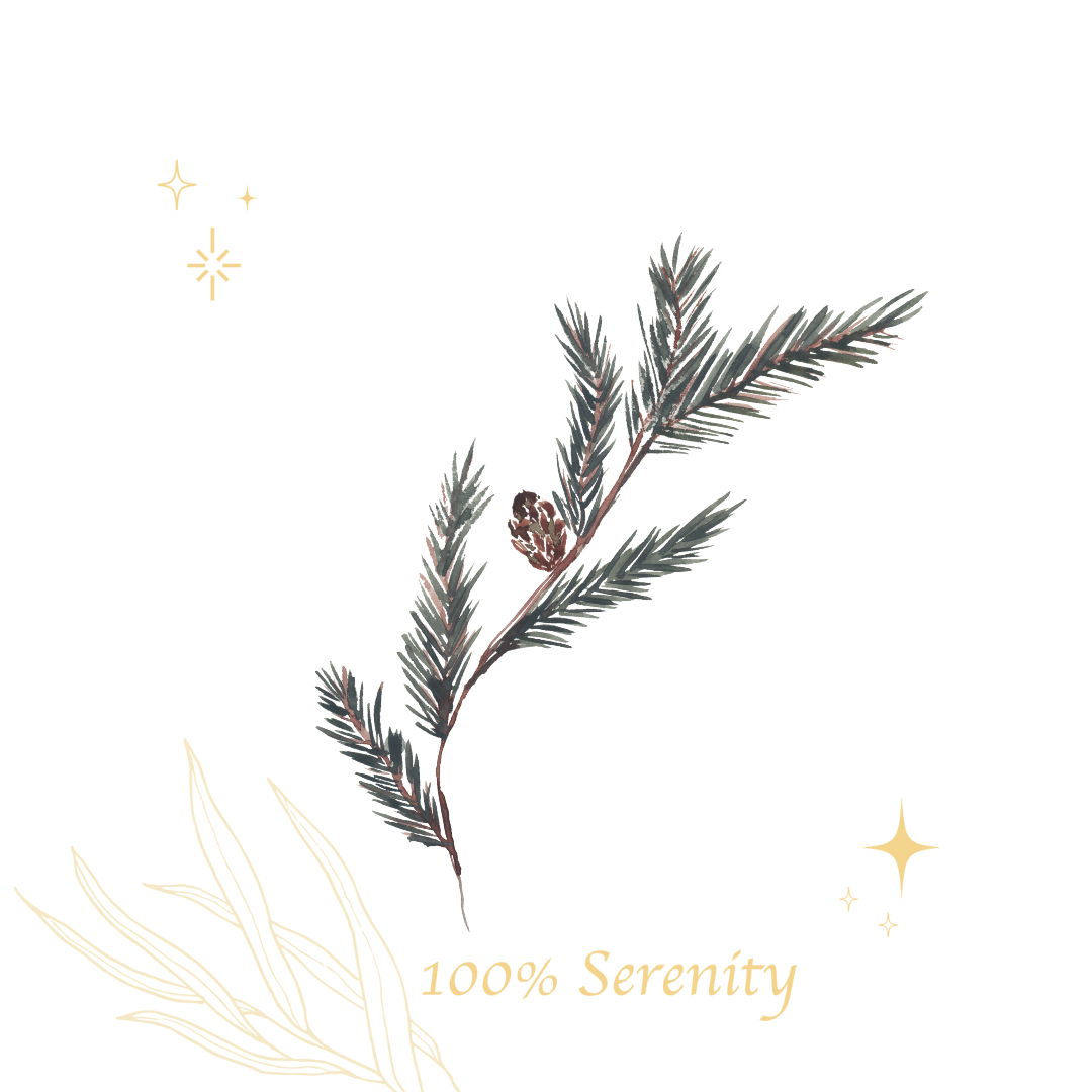 森林植萃強化 | 洗髮乳 500ml