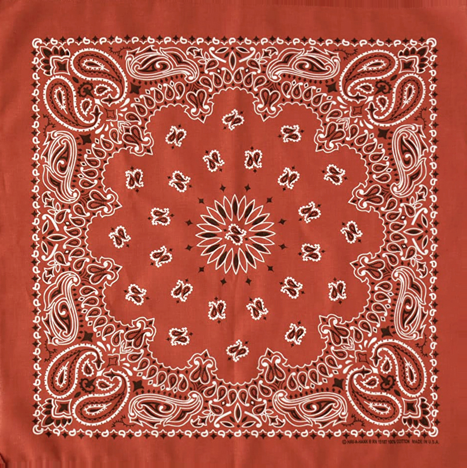 Hav-A-Hank Paisley Bandana ╭ 16色 ╮