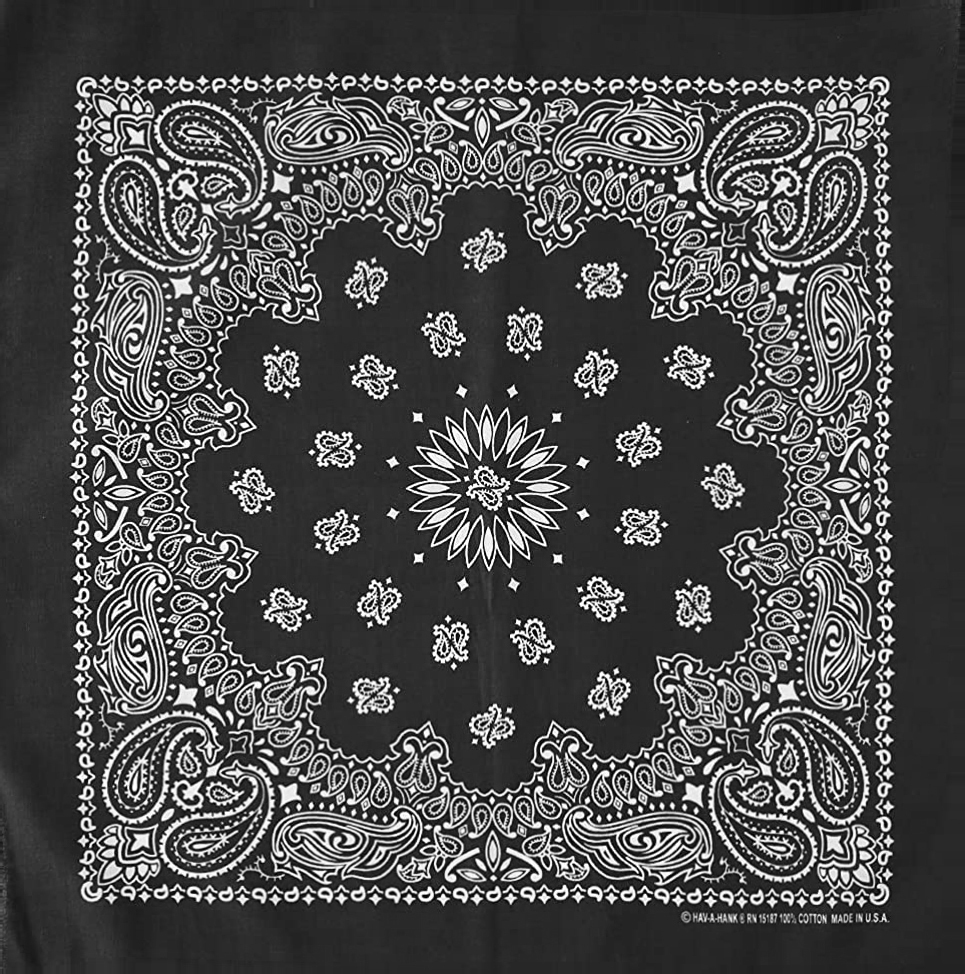 Hav-A-Hank Paisley Bandana ╭ 16色 ╮
