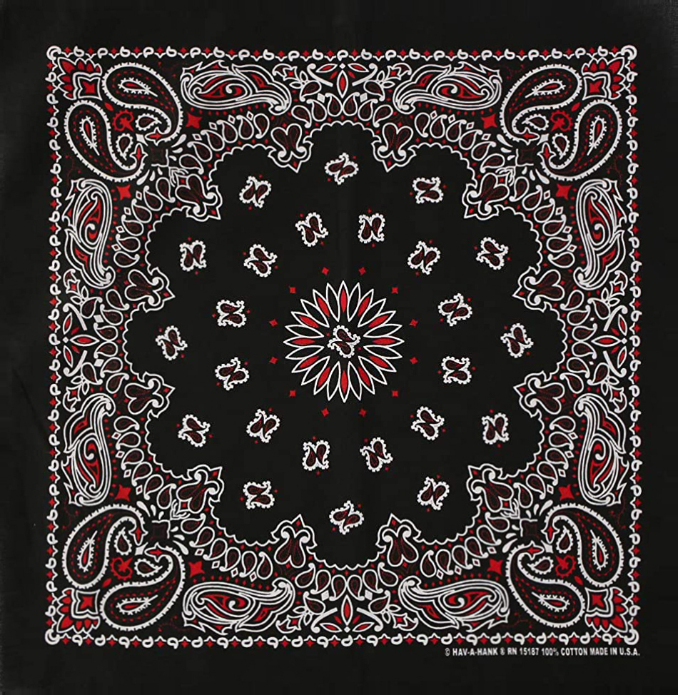 Hav-A-Hank Paisley Bandana ╭ 16色 ╮