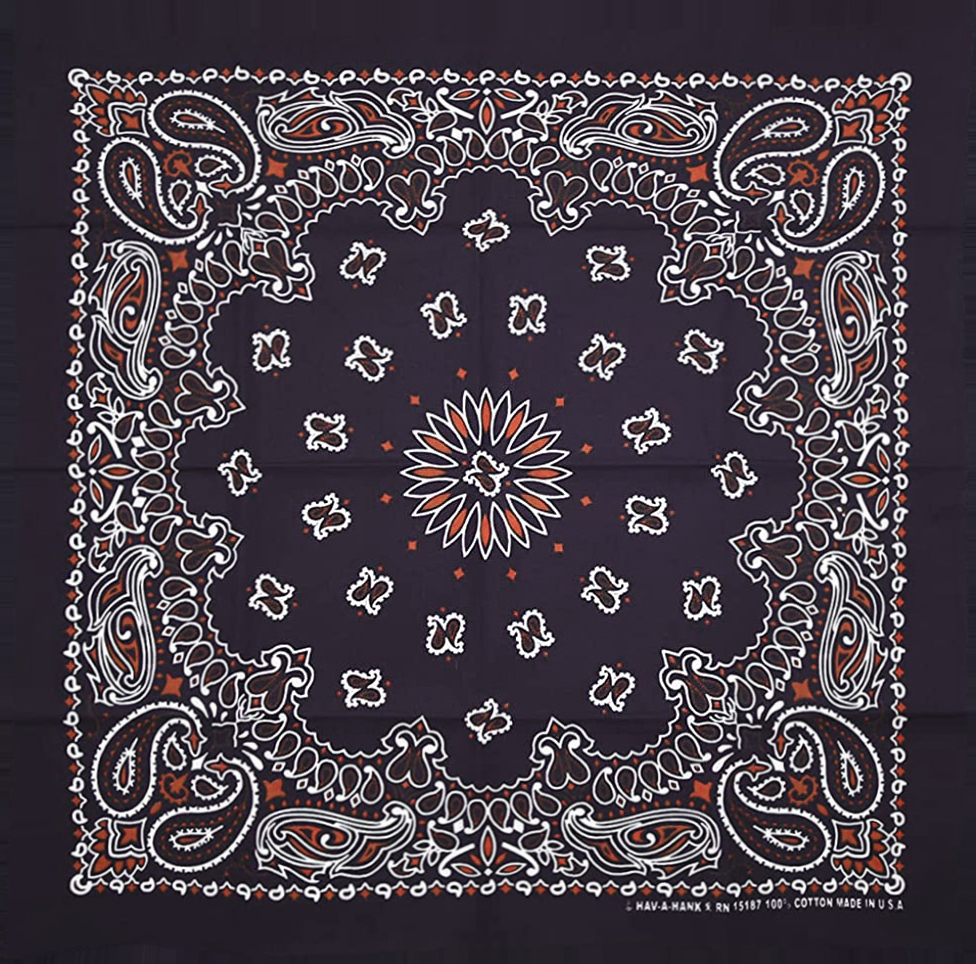 Hav-A-Hank Paisley Bandana ╭ 16色 ╮