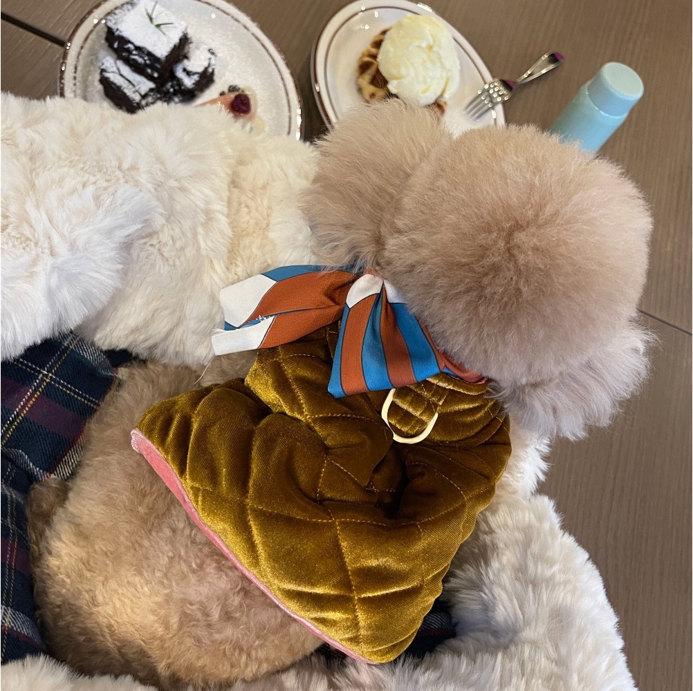 COZY-N 幾何風絲巾