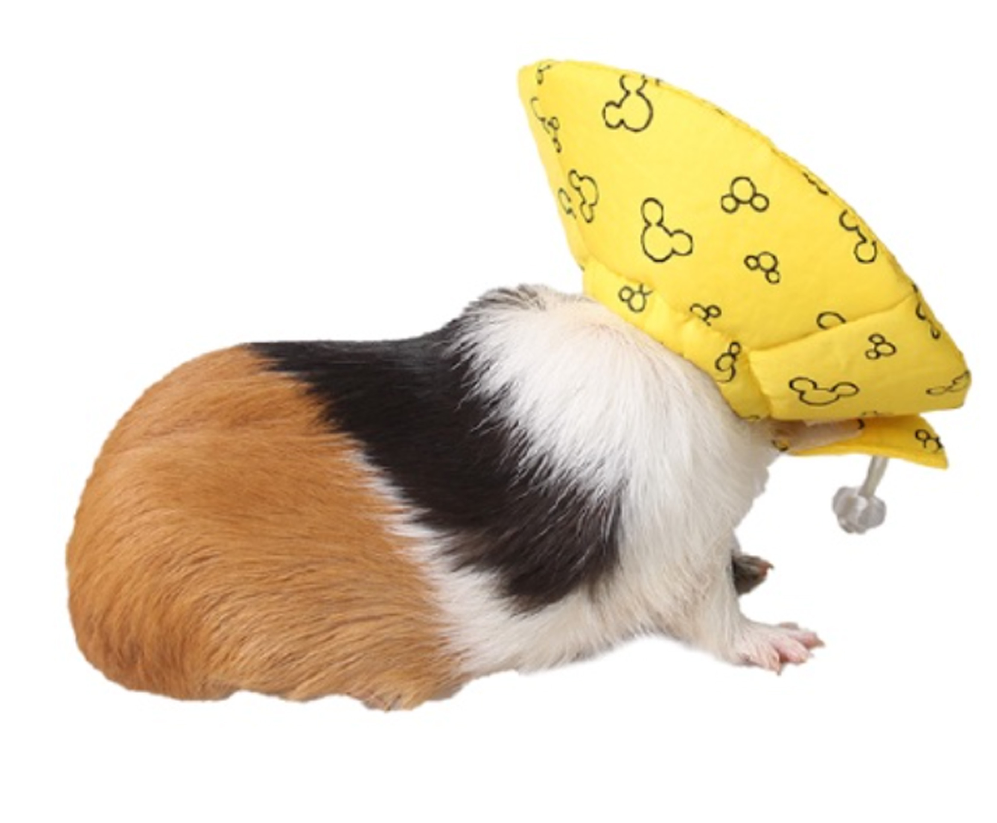 小寵伊麗莎白頭套