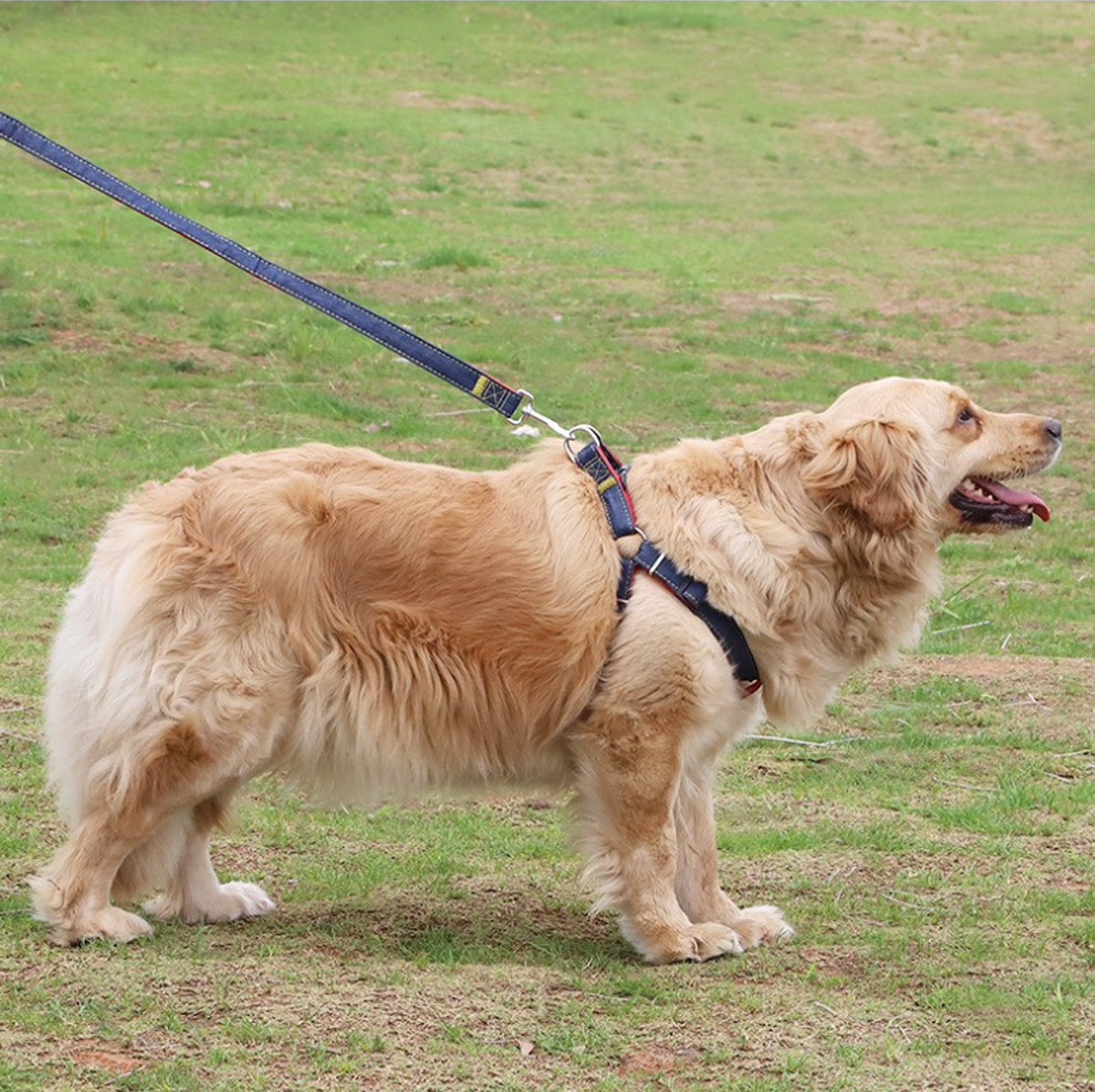 耐磨牛仔縫布牽引繩
