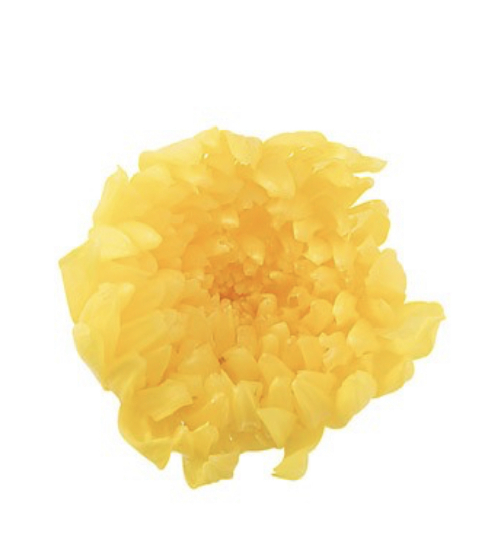 日本不凋輪菊-小 (9朵/盒) 04803-500