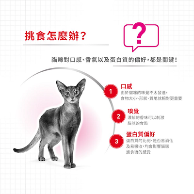Royal Canin 超級營養配方 EXP－2kg / 4kg