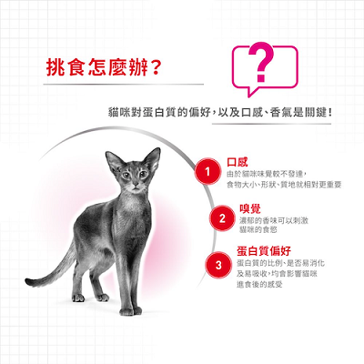 Royal Canin 超級香味配方 EXA－2kg / 4kg