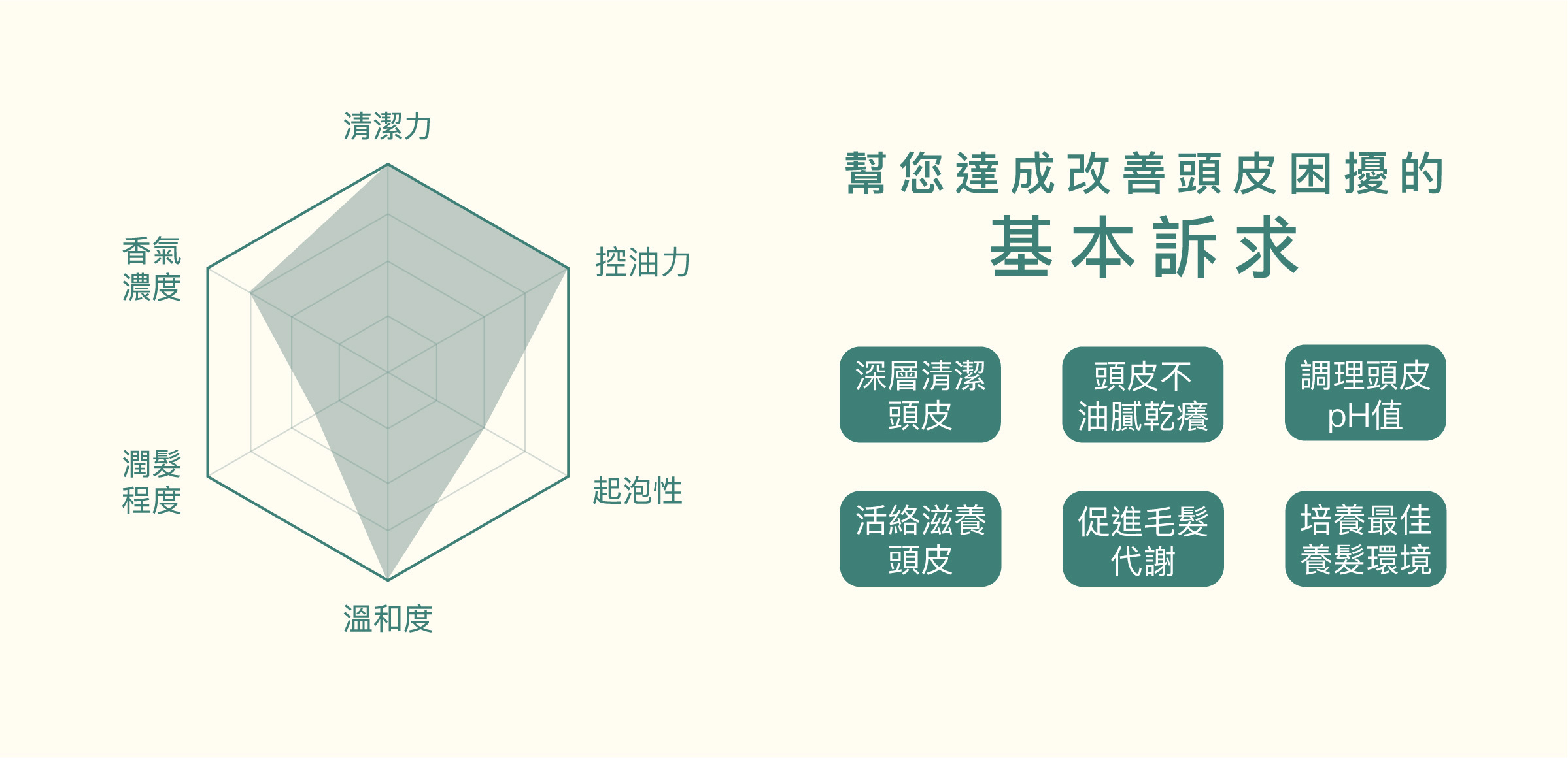 幫您達成改善頭皮困擾的基本訴求