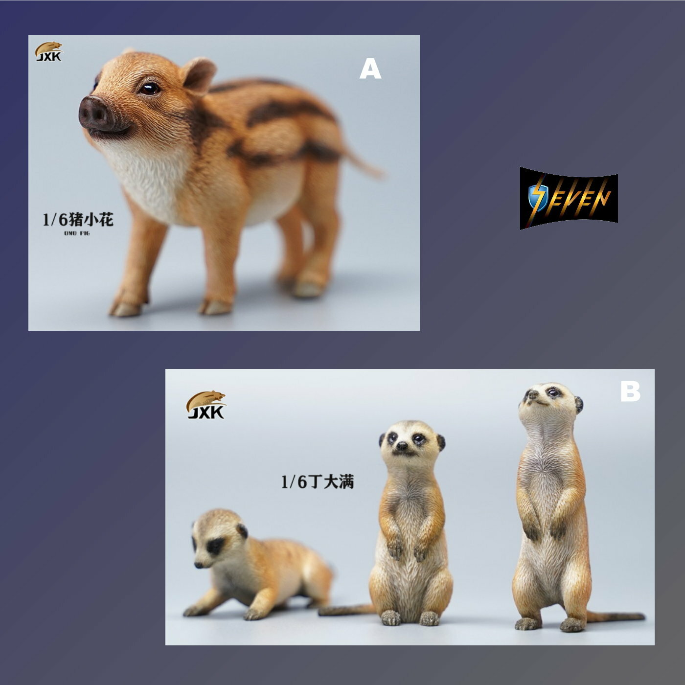 JxK Studio : 1/6 花小豬 & 丁大滿
