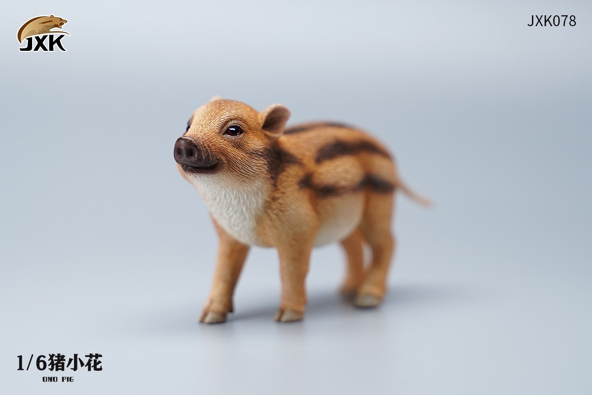 JxK Studio : 1/6 花小豬 & 丁大滿