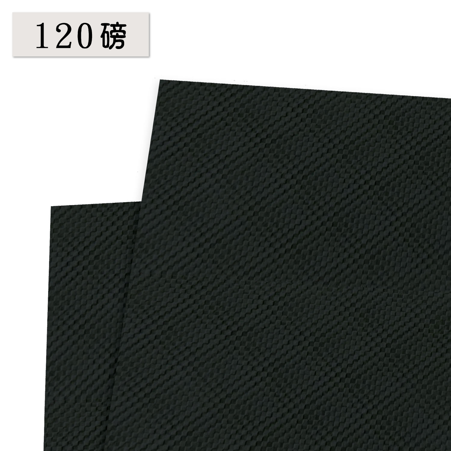 進口【120磅】花格格 | 黑色 (A4規格-6入) #T9002
