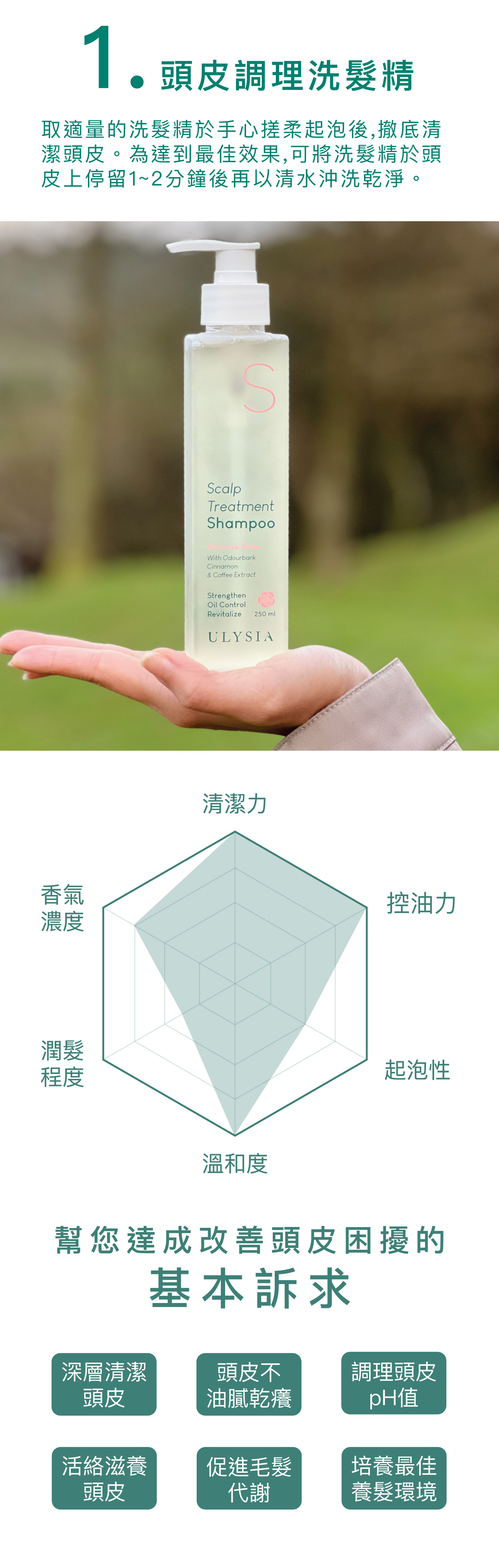 頭皮調理洗髮精