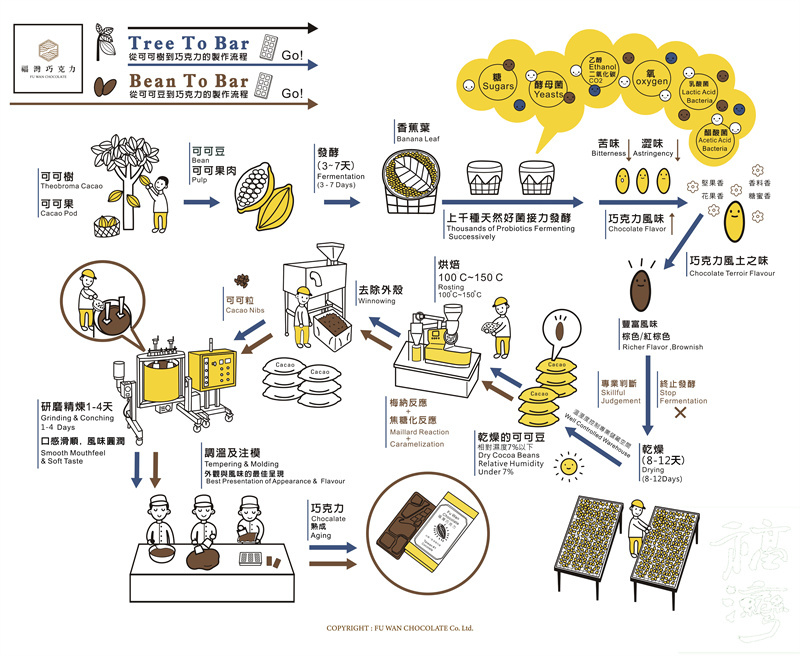 可可生產流程